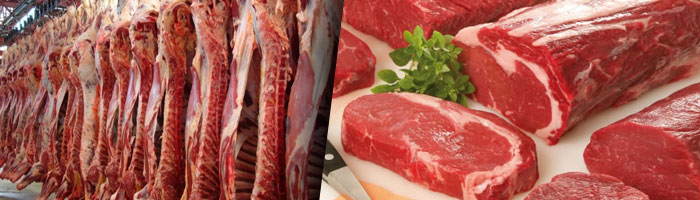 Carne de primera calidad