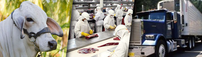 Carne de primera calidad